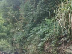 -将军关探险漂流