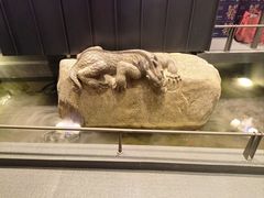 -单家老院·院子里的青岛菜(沙子口店)