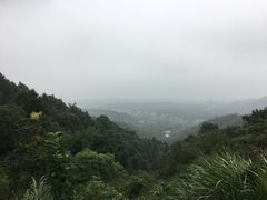 -天花井景区