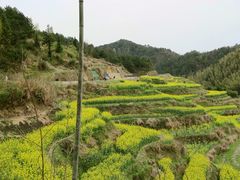 -灵山景区梯田