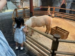 -Zoolung Zoolung动物主题公园(海信广场店)