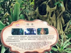 -南山植物园