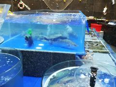 -船家渔(徐州北路店)