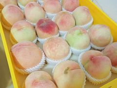 -老袁家蜜桃农场·阳山水蜜桃