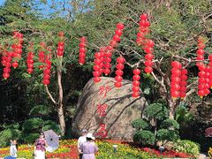 -野狸岛
