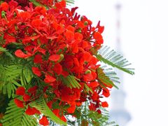 -二沙岛艺术公园