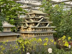 -南宫五洲植物乐园