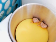 -自然之声助听器·呼吸机(公园路店)