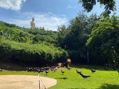 -西双版纳勐泐文化旅游区