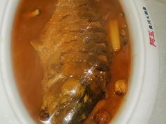 红烧黄河大鲤鱼-阿五黄河大鲤鱼(英协路店)