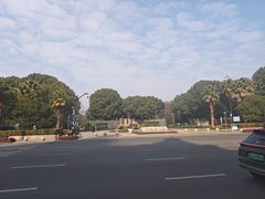 -桐乡植物园
