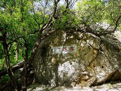 -阳台山自然风景区