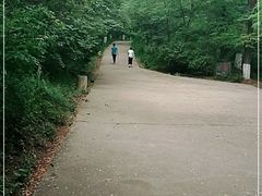 -高尔山公园
