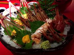 -初花·日本料理