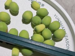 -芸山季·云南野生菌火锅(宝能环球汇店)