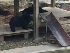 -石家庄市动物园