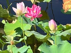 -苏州环秀晓筑养生度假村