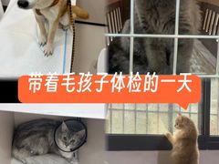 -御宝贝24h宠物医院·转诊中心·CT核磁血透中心(厦门总院)