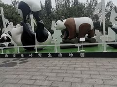 -西安秦岭野生动物园