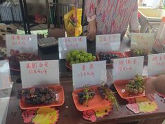 -马陆小张葡萄园农家乐