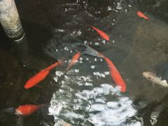 -北平小院设计酒店