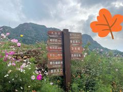 -密云玫瑰情园