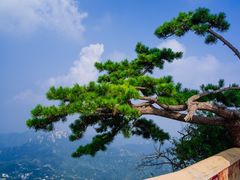 -天津盘山风景名胜区