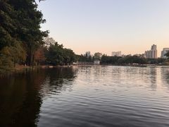 -荔湾湖公园