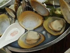 -象角群记(华柏店)