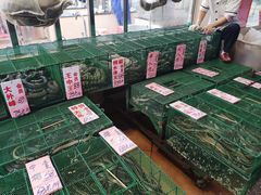 -荔城生鲜盛宴(番禺旗舰店)