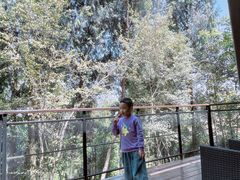 -三峡国际房车露营地(G348店)