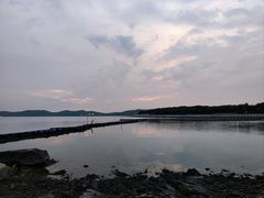 -上海市保健医疗中心