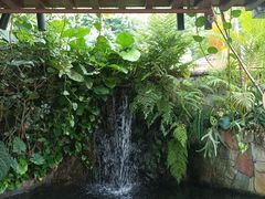-香港海洋公园