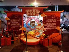 -上海海洋水族馆