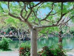 -无锡蠡湖国家湿地公园-蠡园
