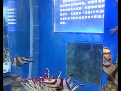 海洋世界-福州罗源湾海洋世界旅游区