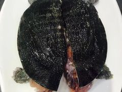 甲鱼-金龙·打边炉(武进路店)