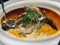 -陶缘一号·四季缘·老字号顺德菜·户外婚礼家宴(西滘店)