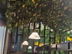 -茉莉餐厅(亳州高新万达广场希夷大道店)