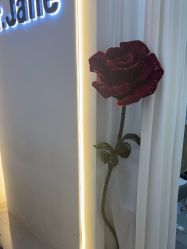 -Dr·Jane皮肤管理中心