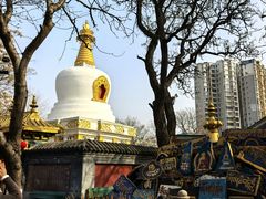 -护国法轮寺