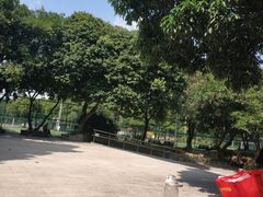 -天河儿童公园