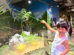 -正佳雨林生态植物园