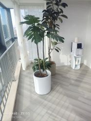 -HEYAN荷妍专业脱毛连锁机构