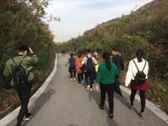 -白马涧龙池景区