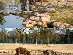 -盈香心动乐园