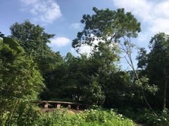 -晓港公园