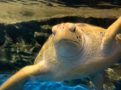 -梦幻海洋王国(吾悦广场张家港店)