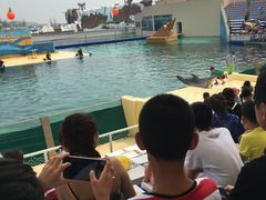 -秦皇岛乐岛海洋王国