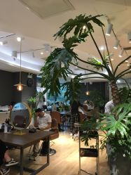 点击看大图 -意廊 Hair Salon